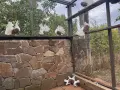 Продавам фенерлии, снимка 1
