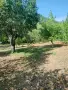 Продавам ПАРЦЕЛ в с.Типченица област Враца , снимка 5