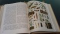 Детска енциклопедия в 10 тома на руски език + Подарък, снимка 8