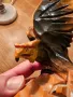 Старинна  фигура на орел, дърворезба - красота за твоя дом, офис или фирма  лов и риболов, снимка 5