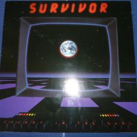 грамофонни плочи Survivor, снимка 1 - Грамофонни плочи - 40674865