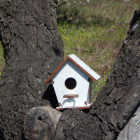 Къщички за птици , върху които може да се рисува ., снимка 8 - Други - 36254268