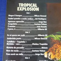 грамофонни плочи Tropical Explosion - 24 original top-hits from Brasil, снимка 6 - Грамофонни плочи - 34114090