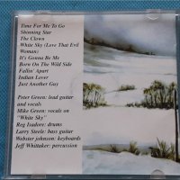 Peter Green – 1982 - White Sky(Blues Rock), снимка 2 - CD дискове - 42453361