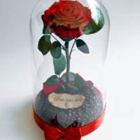 Вечна Роза в ГОЛЯМА стъкленица / Уникален Подарък за Жена / Естествена Вечна роза Подарък за Момиче, снимка 7 - Други - 34470627