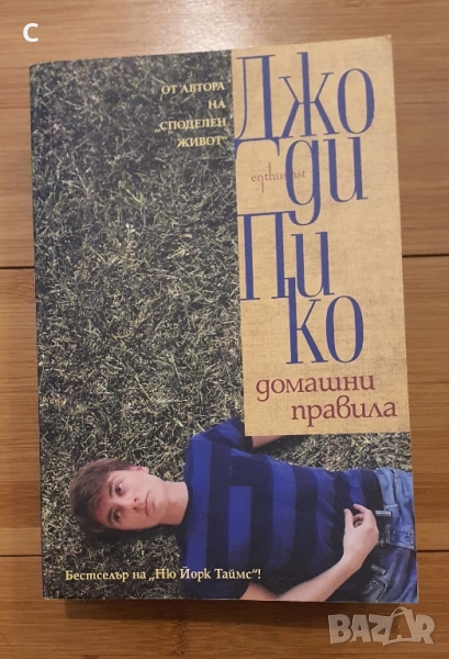 Домашни правила -Джоди Пико, снимка 1
