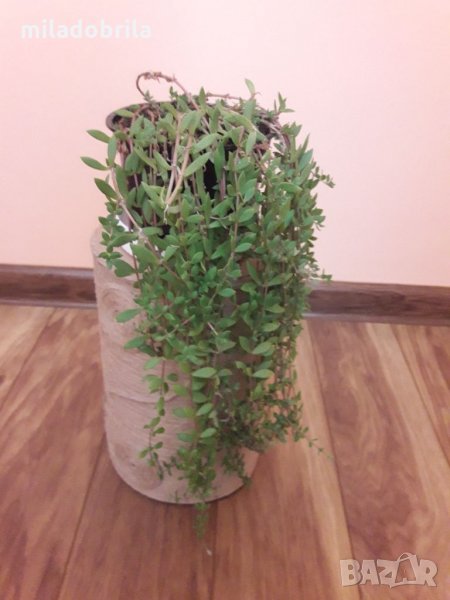 Един предмет няколко приложения, снимка 1