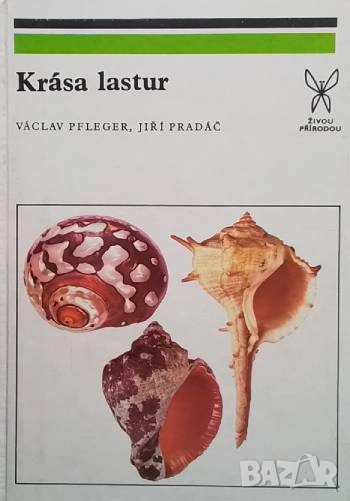 Kràsa lastur Vàclav Pfleger, Jiri Pradàč, снимка 1