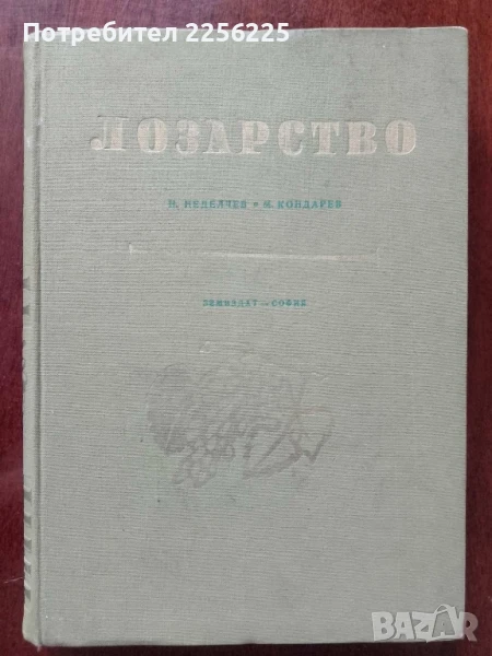 Лозарство, снимка 1