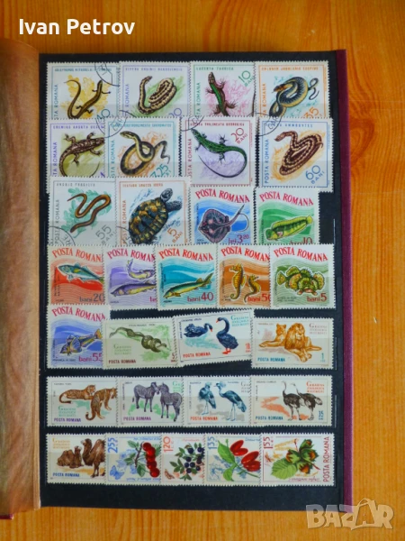 Продавам серии пощенски марки „Животни и растения“, снимка 1