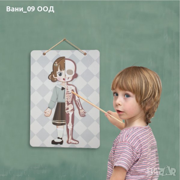 80 части! Детска магнитна дъска"Човешкото тяло", снимка 1