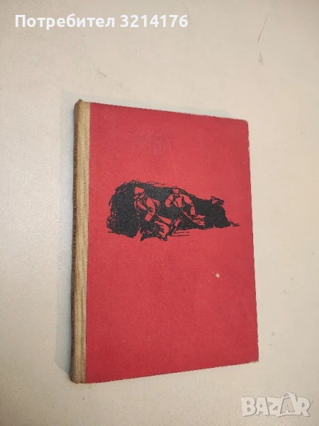 На отвъдната страна - Виктор Кин, снимка 1