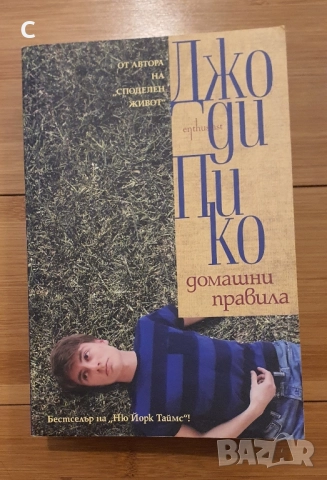 Домашни правила -Джоди Пико