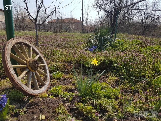 Продавам къща в с. Сталево,обл. Хасково , снимка 5 - Къщи - 52282813