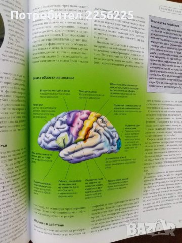 В света на тайните, снимка 2 - Енциклопедии, справочници - 51023558