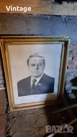 Портрети на Тодор Живков, Леонид Брежнев и други партийни функционери