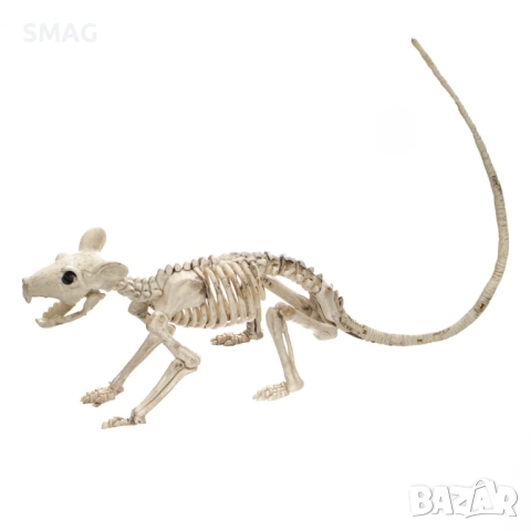 Halloween / Хелоуин реалистичен скелет на мишка – декорация 20см_1207607, снимка 4 - Декорация за дома - 52008662