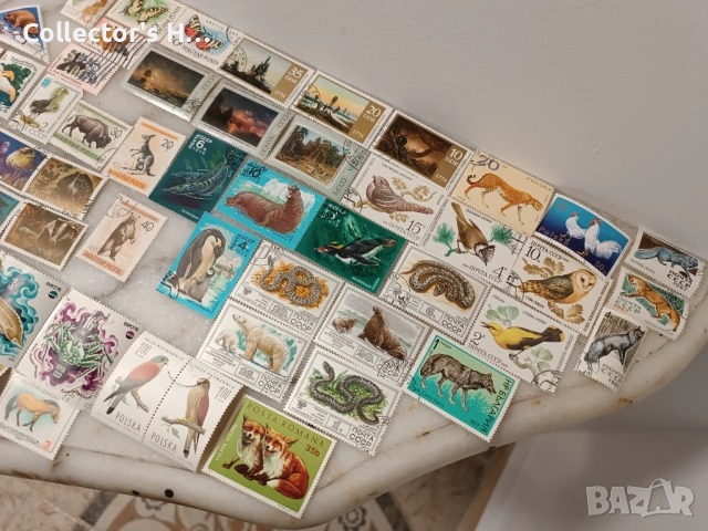 Сет от 95 марки с животни за 50 лв. общо, снимка 4 - Филателия - 53049132