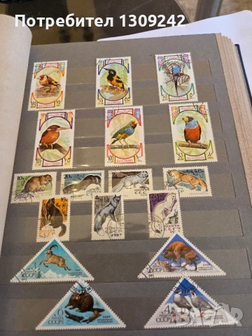 Класьори с пощенски марки, снимка 14 - Филателия - 52352149
