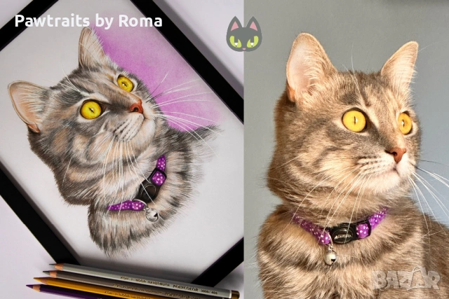 Ръчно рисуван портрет на домашен любимец