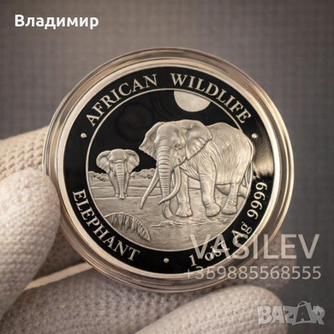 Сребърна Монета 1 унция Сомалийски Слон 2026г 1 oz Silver