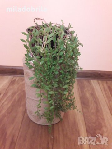 Един предмет няколко приложения