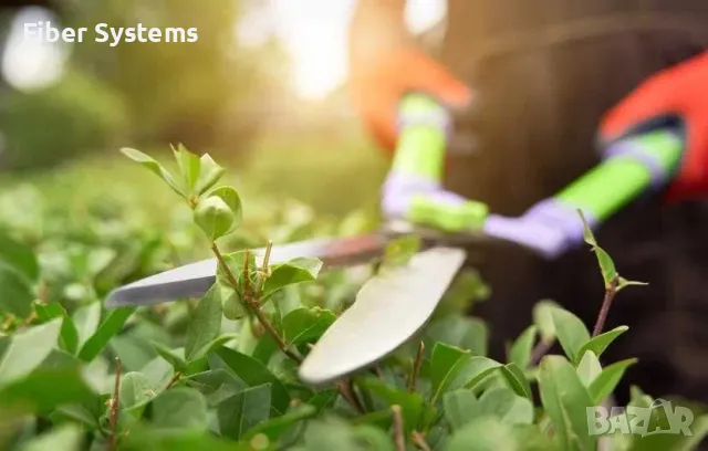 Професионална грижа за вашата градина и двор, снимка 3 - Други - 49830764