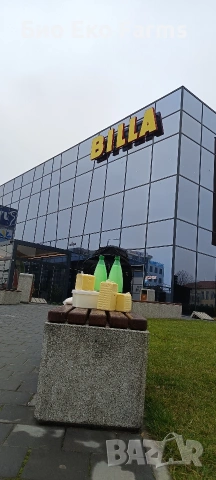 Домашно зряло сирене и кашкавал , февруарска коприва, добруджанско тесто, снимка 10 - Домашни продукти - 53491099