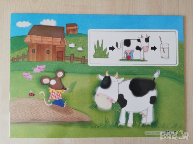 First Explorers 1 Teacher's Resource Pack, снимка 12 - Чуждоезиково обучение, речници - 41537839