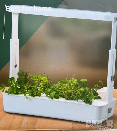 Автоматична оранжерия от PARKSIDE®, снимка 2 - Стайни растения - 47327730