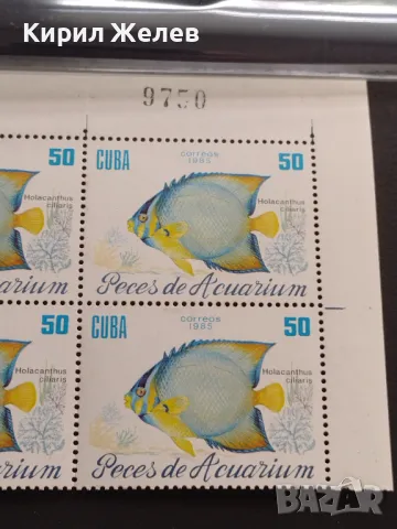 Пощенски марки чисти ЖИВОТНИ РИБИ поща КУБА за КОЛЕКЦИЯ 46766, снимка 4 - Филателия - 47321123