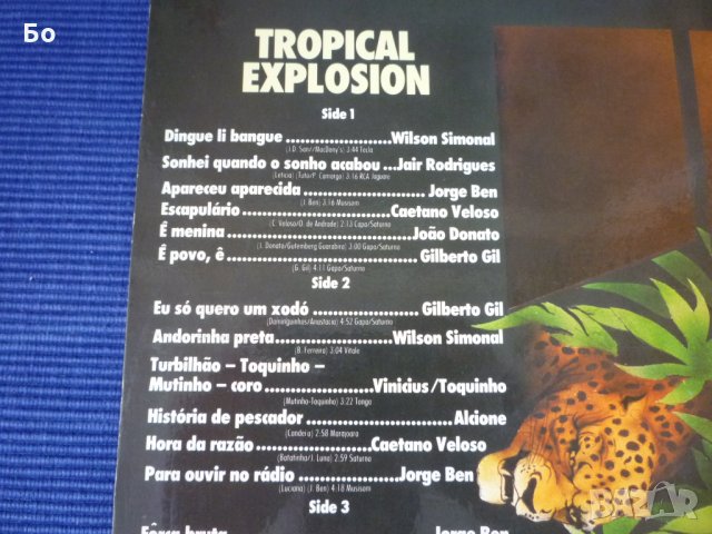 грамофонни плочи Tropical Explosion - 24 original top-hits from Brasil, снимка 6 - Грамофонни плочи - 34114090