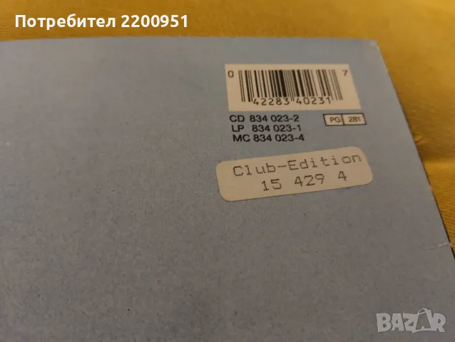 RAINBIRDS, снимка 4 - Грамофонни плочи - 49758973