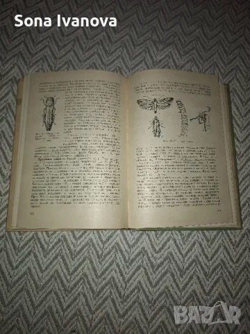 БОЛЕСТИ И НЕПРИЯТЕЛИ ПО ОВОЩНИТЕ КУЛТУРИ, Земиздат, 1965 г., снимка 5 - Специализирана литература - 50075022
