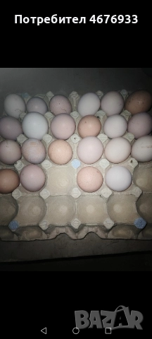 яйца от домашни селски кокошки