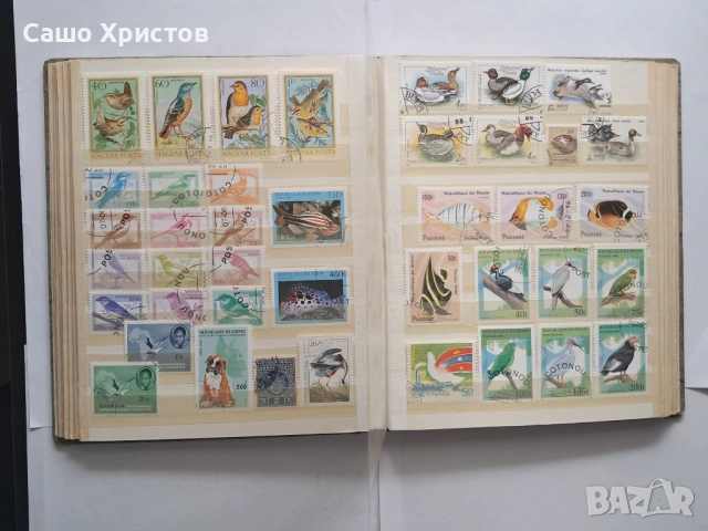 Пощенски марки тема ”Животни”., снимка 8 - Филателия - 53754416