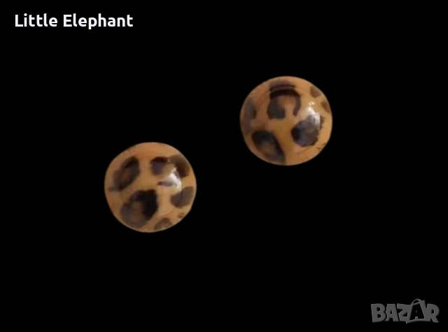 Pre order Bioceramic 🐆 Unleash Your Inner Safari! Леопардови обеци-акценти/нови