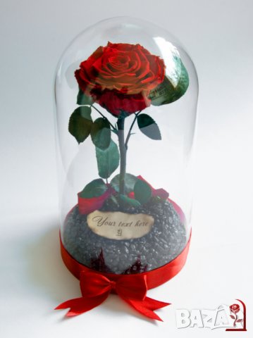 Вечна Роза в ГОЛЯМА стъкленица / Уникален Подарък за Жена / Естествена Вечна роза Подарък за Момиче, снимка 7 - Други - 34470627