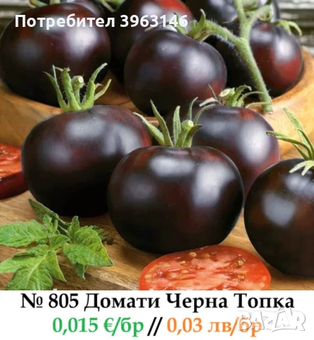 Семена за Стотинки, снимка 5 - Сортови семена и луковици - 52838410