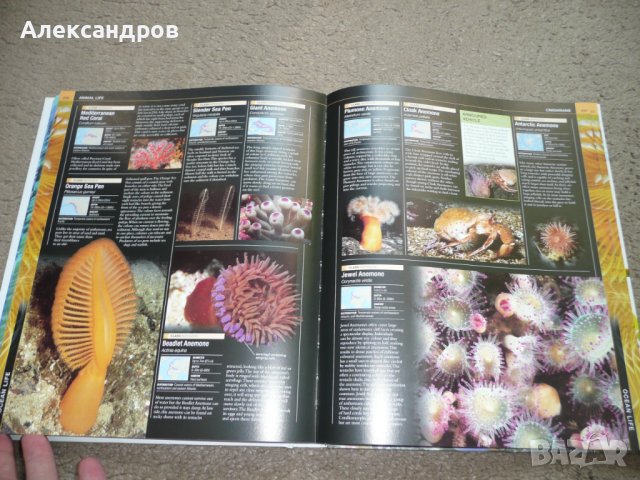 Oceans The Definitive Visual Guide 2015, снимка 8 - Енциклопедии, справочници - 42212354