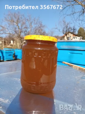 Билков пчелен мед, снимка 3 - Пчелни продукти - 49073548