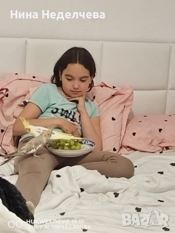 Продавам чифт Корели