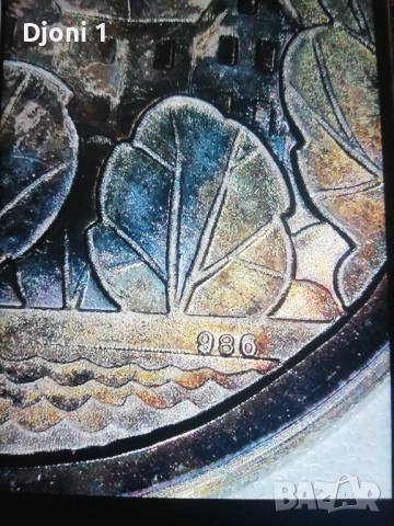 Немски сребърен медал Hof/SAALE, снимка 3 - Антикварни и старинни предмети - 53201672