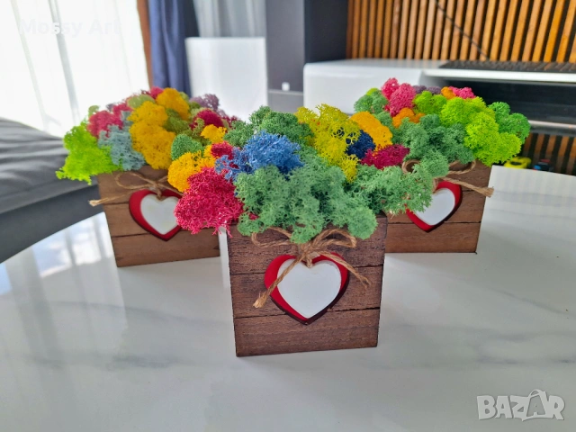 Декорации със скандинавски мъх, снимка 9 - Декорация за дома - 53198992