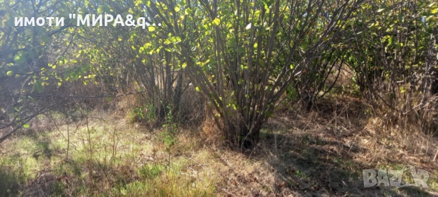 ПАРЦЕЛ/УПИ в с. Книжовник, обл. Хасково, снимка 2 - Парцели - 51522543