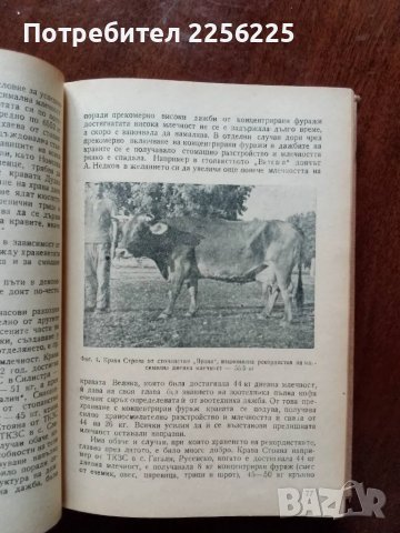 Наръчник на бригадира говедовъд, снимка 4 - Специализирана литература - 48352078