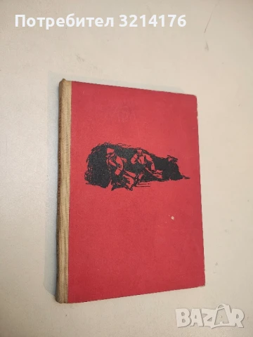 На отвъдната страна - Виктор Кин