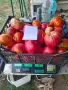 Продавам вкусни домати, снимка 8