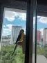 Поен мъжки папагал , снимка 8