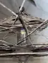 Капли 26” DT SWISS , снимка 9